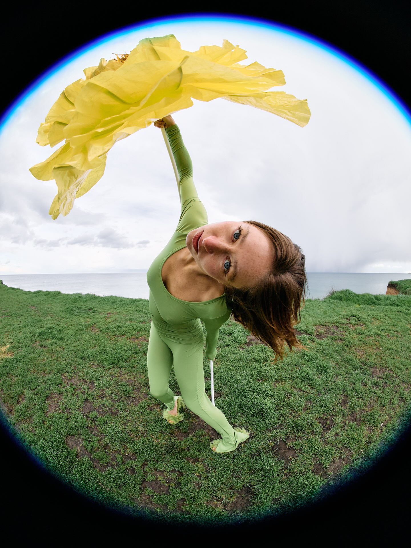 kris_bindi_detka — fisheye flower field / close yellow fabric